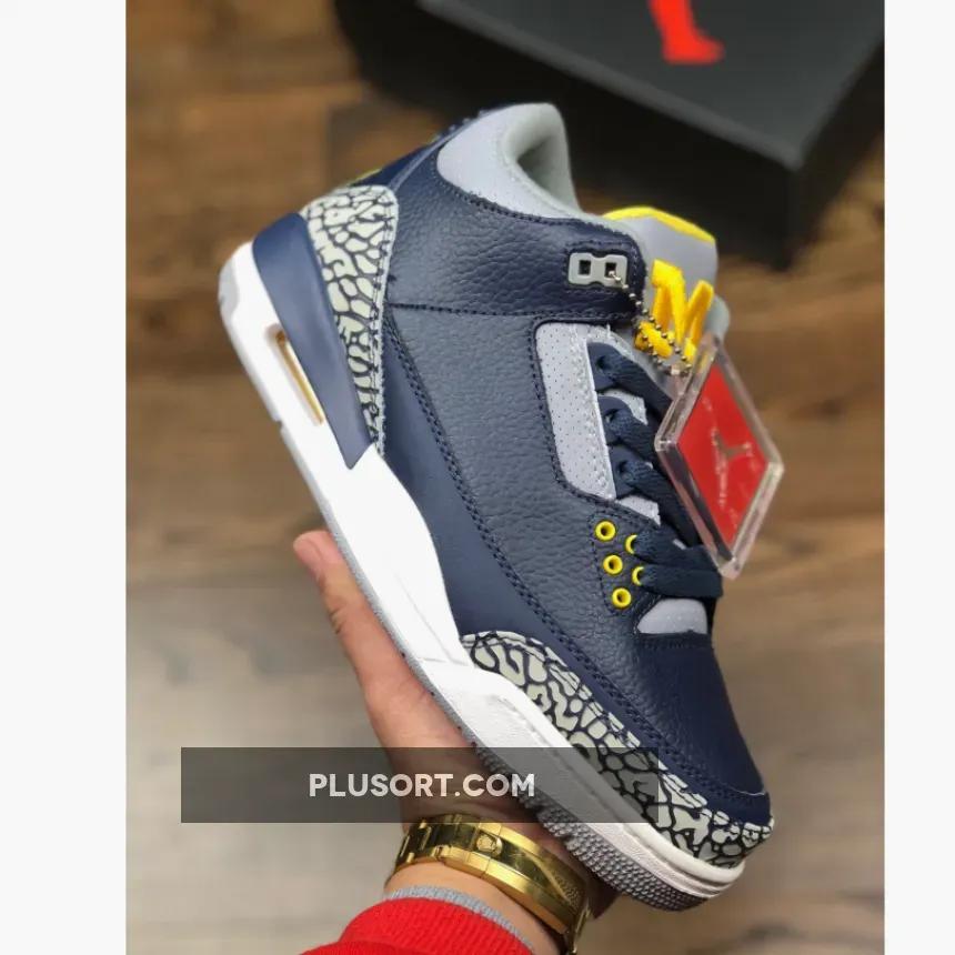 Air Jordan 3 Michigan PE