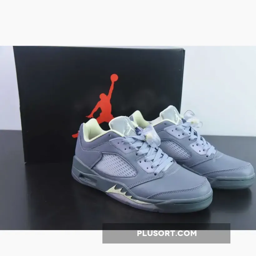 Air Jordan 5 Retro Low Indigo Haze/Fire Red-Metallic Silver-Flint Grey