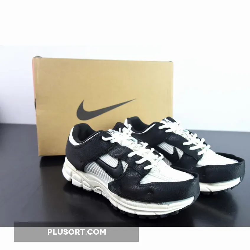 Nike Zoom Vomero 5 Timeless Dunk